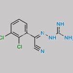 Lamotrigine Impurity 1 CAS#: 84689-20-3