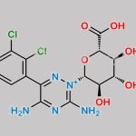 Lamotrigine N2-Glucuronide CAS#: 133310-19-7