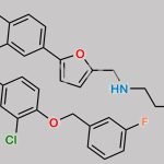 Lapatinib CAS#: 231277-92-2