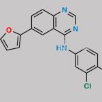 Lapatinib 4-Fluoro Analog CAS#: 1026818-86-9