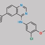Lapatinib Carboxylic Acid Impurity CAS#: 1152131-73-1
