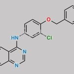 Lapatinib Impurity 15 CAS#: 231278-20-9