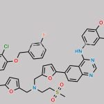 Lapatinib Impurity 16 CAS#: 2172855-57-9