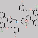 Lapatinib Impurity 18 CAS#: N/A