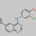 Lapatinib Impurity 22 CAS#: 231278-83-4