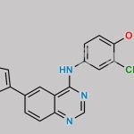 Lapatinib Impurity 23 CAS#: N/A