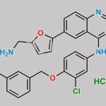 Lapatinib Impurity 3 CAS#: N/A
