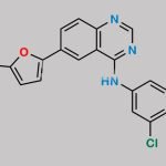 Lapatinib 2-Fluoro Analog CAS#: 1393112-45-2