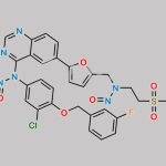 Lapatinib Nitroso Impurity 2 CAS#: N/A