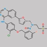 Lapatinib Nitroso Impurity 3 CAS#: N/A