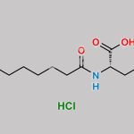 Lauroyl Arginine Hydrochloride CAS#: 181434-85-5
