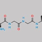 [Leu5]-Enkephalin CAS#: 58822-25-6
