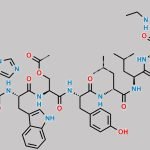 Leuprolide Acetate EP Impurity D CAS#: N/A