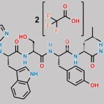Leuprolide Acetate Impurity I CAS#: N/A