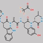 Leuprolide Acetate Impurity K CAS#: N/A