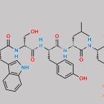 Leuprolide EP Impurity A (TFA salt) CAS#: N/A