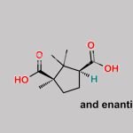 Levocarnitine EP Impurity B CAS#: 5394-83-2