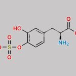 Levodopa sulfate CAS#: 217657-34-6