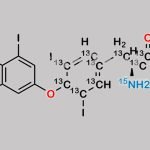 Levothyroxine 13C9 15N CAS#: 1431868-11-9