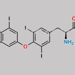 Levothyroxine CAS#: 51-48-9