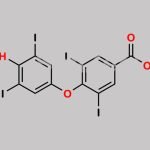 Levothyroxine EP Impurity H CAS#: 2055-97-2