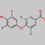 Levothyroxine EP Impurity I CAS#: 2016-06-0