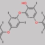 Levothyroxine  Impurity 14 CAS#: 2088032-62-4