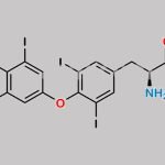 Levothyroxine  Impurity 4 CAS#: N/A