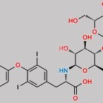 Levothyroxine Lactose Adduct CAS#: N/A