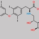 Levothyroxine Mannitol Adduct CAS#: N/A