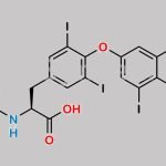 Levothyroxine N-Acetyl Impurity CAS#: 26041-51-0