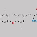 Levothyroxine Sodium Hydrate CAS#: 25416-65-3