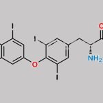 Levothyroxine D-Isomer CAS#: 51-49-0