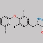 Levothyroxine EP Impurity B CAS#: 1628720-66-0