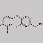 Levothyroxine EP Impurity C CAS#: 51-24-1