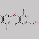 Levothyroxine EP Impurity D CAS#: 67-30-1