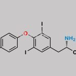 Levothyroxine EP Impurity E CAS#: 1041-01-6