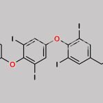 Levothyroxine EP Impurity F CAS#: 911661-90-0