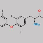 Levothyroxine Ethyl Ester CAS#: 76353-71-4