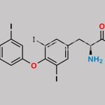 Levothyroxine Methyl Ester CAS#: 32180-11-3
