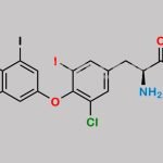 Levothyroxine Monochloro Impurity CAS#: 909279-46-5