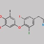 Levothyroxine O-Methyl Amine Impurity CAS#: 2230724-39-5