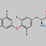 Levothyroxine Sodium CAS#: 55-03-8