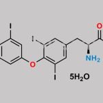 Levothyroxine Sodium Pentahydrate CAS#: 25416-65-3
