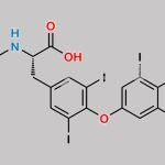 Levothyroxine N-Formyl Impurity CAS#: 671235-41-9