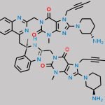 Linagliptin Impurity 6 TriHCl CAS#: N/A