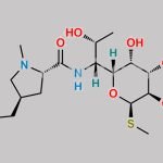 Lincomycin CAS#: 154-21-2