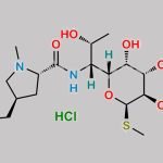 Lincomycin B Hydrochloride CAS#: 11021-35-5