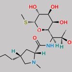 Lincomycin EP Impurity A CAS#: N/A