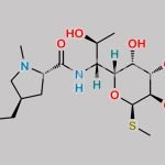 Lincomycin EP Impurity D CAS#: 17017-22-0